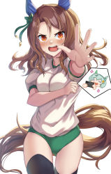 Rule 34 | 1girl, :d, animal ears, black thighhighs, blush, bow, breasts, brown hair, buruma, character request, green bow, green buruma, gym shirt, gym uniform, hair bow, highres, horse ears, horse girl, horse tail, king halo (umamusume), large breasts, looking at another, medium hair, open mouth, red eyes, shirt, simple background, smile, solo, standing, tail, teeth, thighhighs, thighs, tks (526tks), umamusume, white background