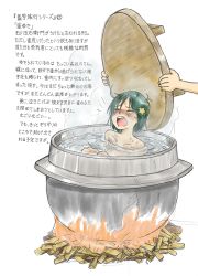 Rule 34 | 1girl, arms behind back, blush, boiling, closed eyes, death, execution, female focus, fire, green hair, highres, nude, open mouth, original, peril, pot, sachisuke masumura, screaming, simple background, sweat, tears, translation request, water, white background