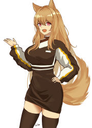 Rule 34 | 1girl, absurdres, adapted costume, animal ears, arknights, artist name, breasts, brown hair, brown sweater, brown thighhighs, ceobe (arknights), chinese commentary, cowboy shot, dog ears, dog tail, dutou, fang, hair between eyes, hand on own hip, highres, large breasts, long hair, long sleeves, looking at viewer, open mouth, red eyes, signature, simple background, smile, solo, sweater, tail, thighhighs, thighs, turtleneck, white background, zettai ryouiki