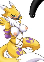 Rule 34 | &gt; &lt;, 1boy, 1girl, animal ears, animal nose, arms behind back, bare shoulders, bdsm, black sclera, blue eyes, blush, bondage, bound, bound arms, bound torso, breasts, colored sclera, digimon, digimon (creature), elbow gloves, fox ears, fox girl, fox tail, fur collar, furry, furry female, gloves, highres, large breasts, muzzle, nazca (rapid-rabbit&#039;s), nipples, penis, purple gloves, renamon, rope, shibari, simple background, sitting, snout, solo focus, tail, tearing up, thighs, wariza, white background, yellow fur, yin yang