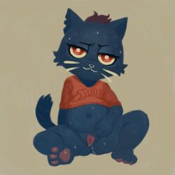 Rule 34 | absurdres, animal hands, belly, cat, furry, highres, mae borowski, moitasart, night in the woods, plump, pussy, spread legs, sweat, thighs