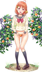 Rule 34 | 1girl, absurdres, ahoge, black socks, bottomless, bow, braid, breasts, brown footwear, collarbone, commentary request, covering privates, covering crotch, food, fruit, gluteal fold, grass, hair bow, highres, knees, leaf, looking at viewer, love live!, love live! sunshine!!, mandarin orange, medium hair, no panties, open mouth, pigeon-toed, raised eyebrows, shoes, socks, solo, suzuki24, sweat, takami chika, teeth, tongue, upper teeth only