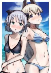 Rule 34 | 2girls, absurdres, animal ears, bikini, black bikini, blue eyes, blue stripes, blush, breasts, cat ears, closed mouth, eila ilmatar juutilainen, fox ears, green eyes, highres, large breasts, long hair, multiple girls, navel, open mouth, outdoors, sanya v. litvyak, short hair, small breasts, strike witches, striped bikini, striped clothes, swimsuit, tama kitsune, white hair, world witches series