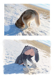 Rule 34 | 10s, 1girl, absurdres, animal ears, ass, bent over, breasts, cleavage, coat, commentary, comparison, cyp tw, day, derivative work, face down, grass, grey wolf, grey wolf (kemono friends), head out of frame, highres, inugami-ke no ichizoku pose, kemono friends, large breasts, legs, necktie, on ground, outdoors, photo-referenced, photo (medium), photo inset, pleated skirt, real life insert, reference inset, reference photo, simple background, skirt, sky, snow, solo, stuck, tail, thighhighs, top-down bottom-up, upskirt, white background, wolf, wolf ears, wolf tail