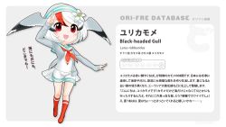 Rule 34 | 1girl, :d, bird wings, elbow gloves, feathers, gloves, hat, head wings, highres, jacket, kemono friends, multicolored hair, open mouth, original, profile, red hair, red neckwear, red socks, sailor collar, short hair, shorts, smile, socks, solo, streaked hair, stylecase, two-tone hair, white hair, white shorts, wings