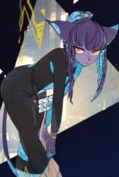 Rule 34 | 1girl, animal ears, black shirt, blouse, blue hair, cat ears, cat tail, colored skin, female focus, from side, furry, furry female, hair ornament, highres, idkuroi, leaning forward, multicolored hair, noire kooshe, original, ponytail, purple hair, serious, shirt, slit pupils, solo, tail, yellow eyes