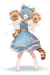 Rule 34 | 1girl, ahoge, animal hands, animal print, barefoot, blue bow, blue dress, blue eyes, blue hair, blush, bow, cirno, collared shirt, detached wings, dress, fairy, fang, full body, gloves, hair between eyes, hair bow, highres, ice, ice wings, open mouth, paw gloves, puffy short sleeves, puffy sleeves, shirt, short hair, short sleeves, simple background, siyumu, solo, sparkle, tail, tiger paws, tiger print, tiger tail, touhou, white background, white shirt, wings