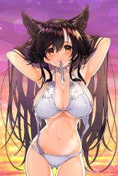 Rule 34 | 1girl, absurdres, animal ears, aruto (shake onigiri), atago (azur lane), atago (summer march) (azur lane), azur lane, black hair, breasts, brown eyes, cleavage, commentary request, cowboy shot, dog ears, extra ears, gradient sky, highres, large breasts, lens flare, long hair, mole, mole under eye, mouth hold, purple sky, ribbon, sky, solo, sparkle, sunset, white ribbon