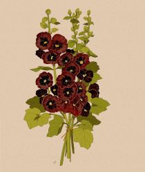 Rule 34 | black flower, bouquet, brown flower, commentary, english commentary, flower, highres, hollyhock, leaf, libbyframe, no humans, original, plant, signature, simple background, still life