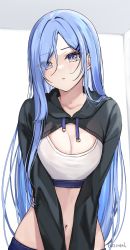 Rule 34 | 1girl, black hoodie, blue eyes, blue hair, breasts, cleavage, crop top, cropped hoodie, drawstring, expressionless, hair ornament, hairclip, highres, hood, hood down, hoodie, kaetzchen, large breasts, long hair, long sleeves, looking at viewer, midriff, bae minah (chaesu), navel, original, parted lips, revealing clothes, shirt, solo, stomach, upper body, v arms, white shirt