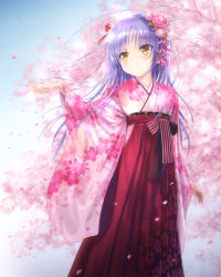 Rule 34 | 1girl, angel beats!, cherry blossoms, commentary request, floral print, flower, goto p, hair flower, hair ornament, hakama, hakama skirt, japanese clothes, kimono, long hair, parted lips, petals, pink kimono, qr code, red hakama, silver hair, skirt, solo, standing, tenshi (angel beats!), tree, yellow eyes