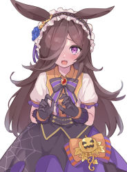 Rule 34 | 1girl, absurdres, animal ears, black gloves, blue flower, blue rose, blush, bow, brooch, brown hair, center frills, collared shirt, fang, flower, frills, gloves, hair flower, hair ornament, hair over one eye, highres, horse ears, jewelry, looking at viewer, mola mola, official alternate costume, open mouth, puffy short sleeves, puffy sleeves, purple eyes, purple skirt, rice shower (make up vampire!) (umamusume), rice shower (umamusume), rose, shirt, short sleeves, simple background, skirt, solo, striped, striped bow, umamusume, white background, white shirt