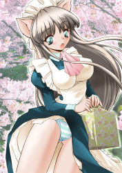 Rule 34 | 1girl, animal ears, apron, bento, breasts, cat ears, cowboy shot, female focus, flower, green panties, headdress, maid, maid apron, outdoors, panties, plant, solo, standing, striped clothes, striped panties, tree, underwear, wind, wind lift