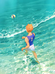 Rule 34 | 1boy, ball, from above, from behind, haikyuu!!, highres, hinata shouyou, male focus, ocean, orange hair, outdoors, re it0, short hair, shorts, solo, tank top, twitter username, volleyball, volleyball (object), wading, walking, water, waves