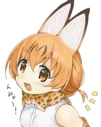 Rule 34 | 10s, 1girl, :3, :d, animal ears, bare shoulders, blonde hair, blush, bow, bowtie, cat ears, commentary request, elbow gloves, gloves, highres, kemono friends, looking at viewer, open mouth, round teeth, seramikku, serval (kemono friends), serval print, shirt, short hair, sleeveless, smile, solo, teeth, translated, white shirt, yellow eyes