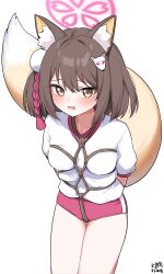 Rule 34 | 1girl, animal ears, blue archive, blush, brown hair, fang, fox ears, fox girl, fox tail, highres, izuna (blue archive), myeolchi, open mouth, short hair, simple background, solo, tail, white background, yellow eyes