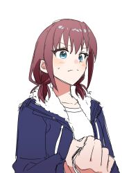 Rule 34 | 1girl, absurdres, blue eyes, blue jacket, blush, closed mouth, commentary request, girls band cry, habsida (habsida hpy), highres, holding, holding leash, iseri nina, jacket, korean commentary, leash, long sleeves, red hair, shirt, short twintails, simple background, smile, solo, sweatdrop, twintails, upper body, white background, white shirt
