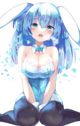 Rule 34 | 1girl, :o, animal ears, aqua bow, aqua bowtie, bare arms, bare shoulders, between legs, black thighhighs, blue eyes, blue hair, blue leotard, blunt ends, blush, bow, bowtie, breasts, breath, cleavage, collar, detached collar, ears down, expressionless, feet out of frame, gloves, hair between eyes, hand between legs, hands between legs, head tilt, highres, ice, large breasts, leotard, long hair, looking at viewer, mani (second-dimension), open mouth, original, playboy bunny, rabbit ears, shards, simple background, sitting, solo, teeth, thighhighs, two side up, upper teeth only, wariza, white background, white collar, white gloves, wide hips