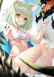 Rule 34 | 1girl, alternate costume, animal ear fluff, animal ears, arknights, bandeau, bare legs, bikini, blue sky, breasts, cat ears, commentary, criss-cross halter, day, ehart, feet out of frame, green eyes, green hair, hair between eyes, halterneck, hand up, kal&#039;tsit (arknights), looking at viewer, material growth, medium breasts, mon3tr (arknights), navel, open mouth, oripathy lesion (arknights), short hair, sky, solo, stomach, swimsuit, thighs, water drop, white bikini