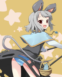 Rule 34 | 1girl, animal ears, basket, bent over, capelet, dress, female focus, grey hair, hama chon, jewelry, leaning forward, looking back, mouse (animal), mouse ears, mouse tail, nazrin, panties, pantyshot, pendant, red eyes, short hair, solo, star (symbol), striped clothes, striped panties, tail, touhou, underwear