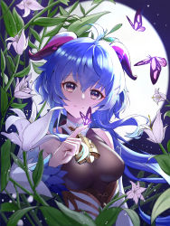 Rule 34 | 1girl, absurdres, ahoge, bare shoulders, bell, blue hair, blush, breasts, bug, butterfly, detached sleeves, flower, full moon, ganyu (genshin impact), genshin impact, gold trim, highres, horns, insect, long hair, looking at viewer, medium breasts, moon, multicolored eyes, neck bell, night, no gloves, smile, solo, upper body, user dzey7845, white flower, white sleeves