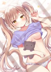 Rule 34 | 1girl, animal ear fluff, animal ears, blush, breasts, brown hair, cat ears, claw pose, commentary request, hamico, highres, long hair, looking at viewer, no pants, original, panties, parted bangs, pout, purple shirt, shirt, solo, tail, twintails, underboob, underwear, white panties, yellow eyes