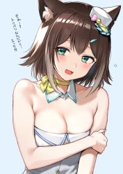 Rule 34 | 1girl, :d, animal ear fluff, animal ears, aqua eyes, bare shoulders, blush, breasts, brown hair, cat ears, cleavage, collarbone, detached collar, fang, fumino tamaki, hand on own arm, hat, looking at viewer, medium breasts, mini hat, neck ribbon, nijisanji, nishizawa, open mouth, ribbon, short hair, sideways hat, simple background, smile, solo, strapless, translation request, virtual youtuber, white background, white hat, yellow ribbon