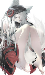 Rule 34 | 1girl, animal ear fluff, animal ears, arknights, artist name, bare legs, bare shoulders, barefoot, black headwear, black scarf, black shirt, blunt bangs, cape, ceey, commentary request, covered mouth, eyebrows, feet, fluffy, foot focus, fox ears, fox tail, frostleaf (arknights), grey eyes, hair over shoulder, hand on own foot, head tilt, headphones, highres, hood, hooded jacket, implied extra ears, jacket, knees together feet apart, knees up, long hair, looking at viewer, multicolored hair, off shoulder, open clothes, open jacket, partial commentary, red jacket, scarf, shirt, simple background, sitting, solo, strap, tail, thighs, toes, touching toes, twitter username, two-tone hair, white background, white hair, white tail