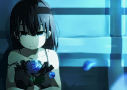 Rule 34 | 1girl, bad id, bad pixiv id, bare arms, bare shoulders, black dress, black hair, blue eyes, blue flower, blue rose, collarbone, dress, flower, holding, holding flower, long hair, looking at viewer, moonlight, night, off shoulder, ogipote, original, petals, rose, shadow, sleeveless, sleeveless dress, solo