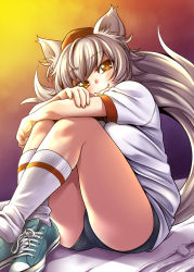 Rule 34 | 1girl, alternate costume, animal ears, buruma, contemporary, converse, fang, gym uniform, hat, inubashiri momiji, legs, looking at viewer, red eyes, shoes, short hair, silver hair, sitting, smile, sneakers, socks, solo, tail, tokin hat, touhou, uousa-ou, white socks, wolf ears, wolf tail