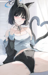 Rule 34 | 1girl, absurdres, animal ears, black eyes, black hair, black shorts, blue archive, blush, breasts, camisole, cat ears, cat tail, closed mouth, collarbone, commentary request, cowboy shot, dolphin shorts, highres, indoors, jaduade, kikyou (blue archive), looking at viewer, medium breasts, multiple tails, short hair, shorts, solo, spread legs, tail, two tails, white camisole