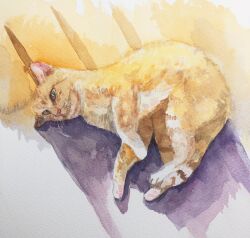 Rule 34 | animal, cat, highres, looking at viewer, lying, no humans, on side, original, painting (medium), sunlight, tlctm7h8wdwnthx, traditional media, watercolor (medium)