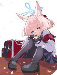 Rule 34 | 1girl, animal ears, bag, blue archive, blue eyes, commentary request, explosive, fingerless gloves, fox ears, gloves, grenade, highres, kanaeco25, niko (blue archive), pantyhose, petals, school uniform, serafuku, simple background, sitting, smile, solo, tactical clothes, white background