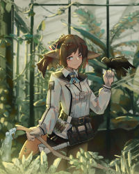 Rule 34 | 1girl, absurdres, animal ears, arknights, bird, bird on hand, black bow, black pantyhose, black skirt, bow, breasts, brown eyes, brown hair, cowboy shot, crow, fox ears, fox girl, fox tail, greenhouse, hair bow, hand up, highres, holding, holding hose, hose, id card, loftcat, long sleeves, looking at viewer, official alternate costume, pantyhose, perfumer (arknights), perfumer (species plantarum) (arknights), plant, shirt, skirt, small breasts, solo, tail, vial, water, white shirt