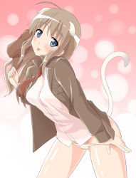 Rule 34 | 1girl, :p, animal ears, bad id, bad pixiv id, blue eyes, boko (maniacpurple), brown hair, hair down, hat, jacket, komakedara, open clothes, open jacket, panties, panty pull, solo, strike witches, strike witches: katayoku no majo-tachi, tail, tongue, tongue out, underwear, undressing, wilma bishop, world witches series