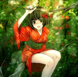 Rule 34 | in tree, japanese clothes, kimono, nature, original, short kimono, sitting, sitting in tree, solo, torazou, tree