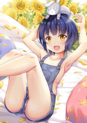 Rule 34 | 1girl, :d, animal, animal on head, armpits, arms up, bare arms, bare shoulders, blue hair, breasts, collarbone, commentary request, fang, flower, gochuumon wa usagi desu ka?, highres, jouga maya, looking at viewer, lying, niiya, no bra, on back, on head, open mouth, overalls, panties, panty peek, petals, purple panties, rabbit, rabbit on head, scar, scar across eye, scar on face, short hair, small breasts, smile, striped clothes, striped panties, sunflower, underwear, underwear peek, upshorts, wild geese, yellow eyes, yellow flower
