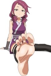 1girl barefoot brown_eyes feet highres kunoichi_tsubaki_no_mune_no_uchi long_hair looking_at_viewer purple_hair riokasen shakuyaku_(kunoichi_tsubaki_no_mune_no_uchi) soles toes