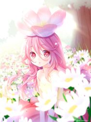Rule 34 | 1girl, blush, commentary request, crying, crying with eyes open, field, flower, flower field, flower on head, highres, long hair, looking at viewer, original, parted lips, pink eyes, pink hair, rai miruku, solo, tears, twitter username