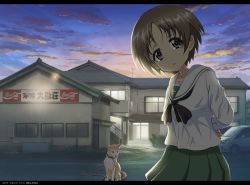 Rule 34 | 1girl, absurdres, arms behind back, artist name, backlighting, black neckerchief, blouse, brown eyes, brown hair, building, car, cloud, cloudy sky, coca-cola, commentary request, dated, dog, girls und panzer, green skirt, head tilt, highres, letterboxed, long sleeves, looking at viewer, maruyama saki, miniskirt, motor vehicle, neckerchief, ooarai school uniform, parted lips, pleated skirt, purple sky, reiwa, school uniform, serafuku, shirt, short hair, skirt, sky, solo, standing, tonan leopard, twilight, white shirt