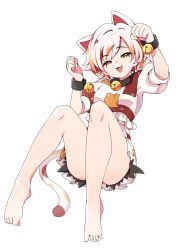 Rule 34 | 1girl, animal ears, arm up, baba (baba seimaijo), bare legs, barefoot, bell, black choker, breasts, brown shirt, brown shorts, cat ears, cat tail, choker, commentary request, fang, goutokuji mike, hair between eyes, hands up, highres, looking at viewer, medium breasts, multicolored clothes, multicolored shirt, multicolored shorts, neck bell, open mouth, orange eyes, orange shirt, orange shorts, puffy short sleeves, puffy sleeves, shirt, short hair, short sleeves, shorts, simple background, sitting, smile, smug, solo, t-shirt, tail, tongue, touhou, white background, white hair, white shirt, white shorts, wristband