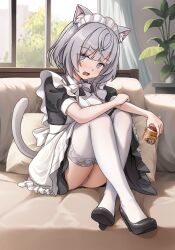 Rule 34 | 1girl, animal ears, apron, ass, black footwear, blue eyes, blush, bottle, bow, breasts, cat ears, cat girl, cat tail, couch, crossed ankles, dress, frilled apron, frills, grey hair, high heels, highres, holding, holding bottle, hololive, hololive indonesia, indoors, looking at viewer, maid, maid apron, maid headdress, medium breasts, open mouth, panties, pill bottle, pillow, plant, potted plant, puffy short sleeves, puffy sleeves, pumps, shoes, short dress, short hair, short sleeves, sitting, solo, tail, thighhighs, underwear, vestia zeta, virtual youtuber, white apron, white bow, white thighhighs, window, zeng$ (zwj)