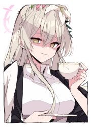 Rule 34 | 1girl, absurdres, blue archive, breasts, broken cup, commentary request, cup, flower, grey hair, hair between eyes, hair flower, hair ornament, halo, highres, himiya jouzu, holding, holding cup, holding saucer, large breasts, long hair, looking at viewer, nagisa (blue archive), parted lips, pink flower, saucer, shaded face, simple background, solo, teacup, upper body, white background, white flower, yellow eyes