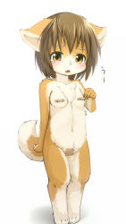 Rule 34 | 1girl, animal ears, animal hands, bandaid, barefoot, blush, breasts, brown hair, censored, convenient censoring, dog ears, dog tail, eyebrows, fang, feet, female focus, flat chest, furry, furry female, gradient background, kagerofu, maebari, navel, nude, open mouth, orange eyes, solo, standing, tail, tape, tears, toes, white background