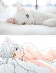 Rule 34 | 1girl, animal, animal ears, bed, cat, cat ears, flat chest, heterochromia, looking at viewer, lying, nipples, nude, reference photo, short hair, slit pupils, smile, white hair