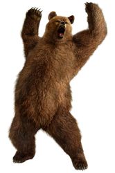 Rule 34 | bear, claws, highres, kuma (tekken), namco, no humans, official art, tekken