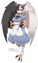 Rule 34 | 1girl, alice (black souls), animal feet, animal hands, apron, bird legs, bird wings, black bow, black souls, black wings, blue dress, blue hairband, bow, breasts, cosplay, dress, fang, feathered wings, full body, hair ornament, hairband, head wings, heterochromia, jubjub (black souls), korean text, large breasts, leg up, multicolored hair, nyong nyong, open mouth, puffy short sleeves, puffy sleeves, rabbit hair ornament, red eyes, red pupils, short hair, short sleeves, simple background, solo, split-color hair, striped legwear, talons, toeless legwear, two-tone hair, v-shaped eyebrows, waist apron, white apron, white background, white hair, white wings, wings, yellow eyes, yellow pupils