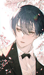Rule 34 | 1boy, :|, black bow, black bowtie, black hair, black jacket, blush, bow, bowtie, branch, cherry blossoms, closed mouth, collared shirt, expressionless, falling petals, fate/grand order, fate (series), green eyes, hair between eyes, highres, jacket, lens flare, looking to the side, majamari, male focus, open clothes, open jacket, petals, portrait, sherlock holmes (fate), shirt, short hair, sidelocks, simple background, solo, traditional bowtie, white background, white shirt