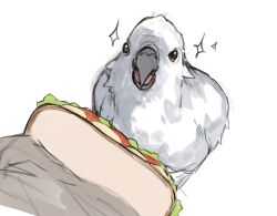 Rule 34 | bird, black eyes, food, happy, highres, looking at viewer, no humans, open mouth, original, sandwich, simple background, sparkle, white background, yourfreakyneighbourh