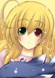 Rule 34 | 00s, 1girl, :o, ahoge, bad id, bad pixiv id, blonde hair, blush, eyebrows, green eyes, heterochromia, long sleeves, looking at viewer, lyrical nanoha, mahou shoujo lyrical nanoha, parted lips, red eyes, simple background, solo, sweater, upper body, vivio, yellow background, zafira